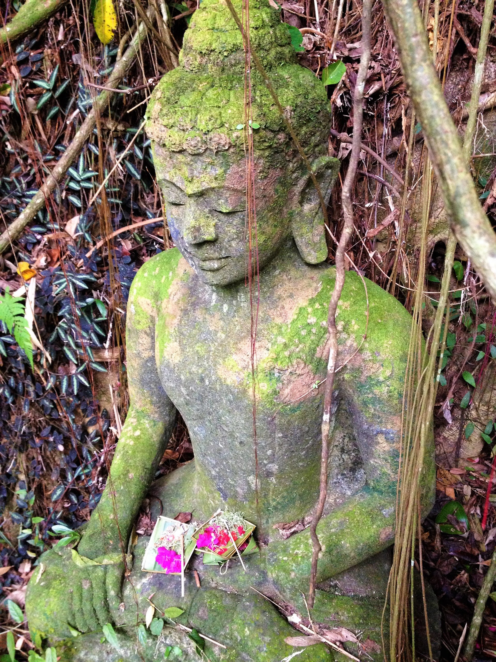 Budha