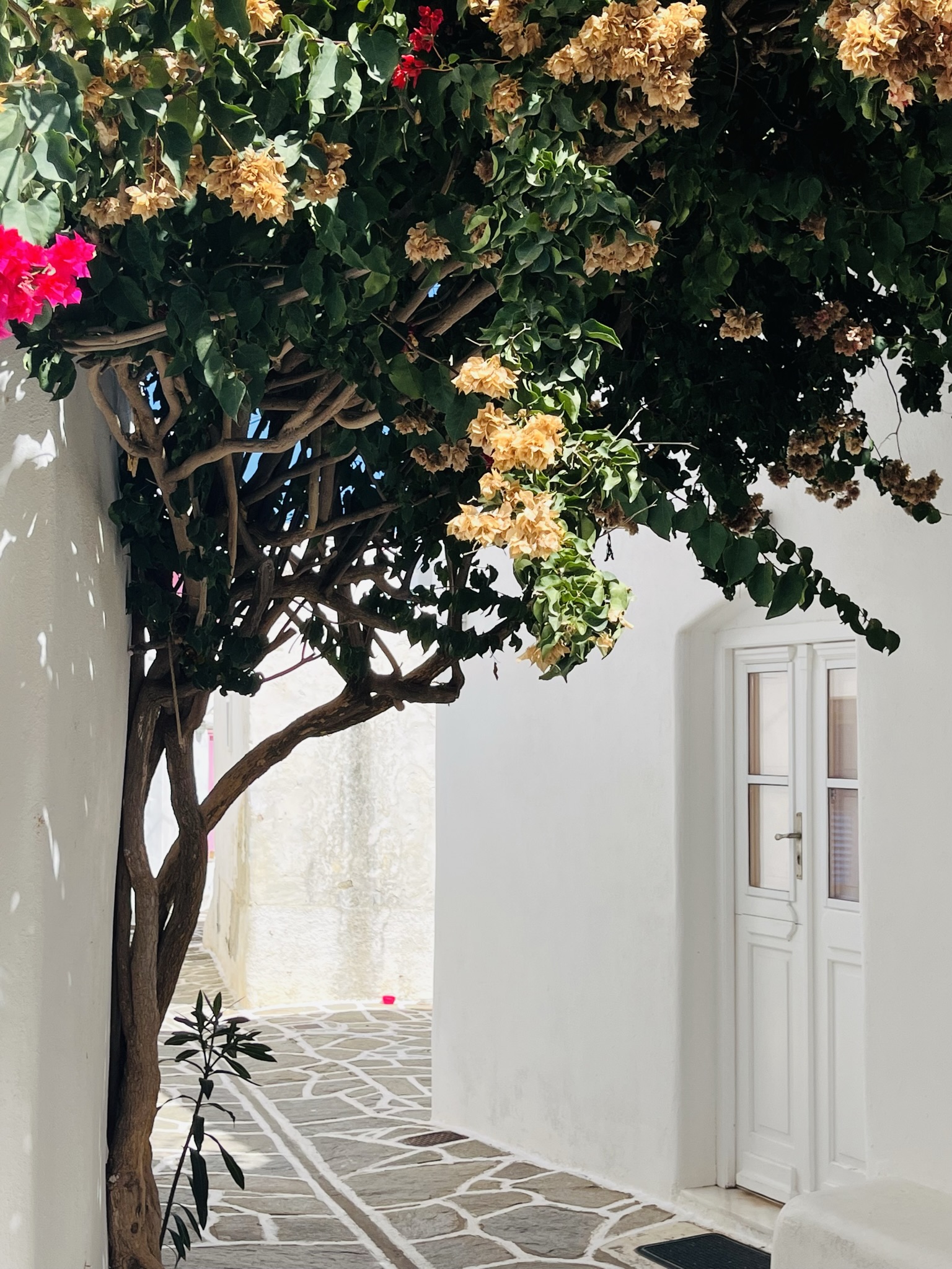 Gasse_I